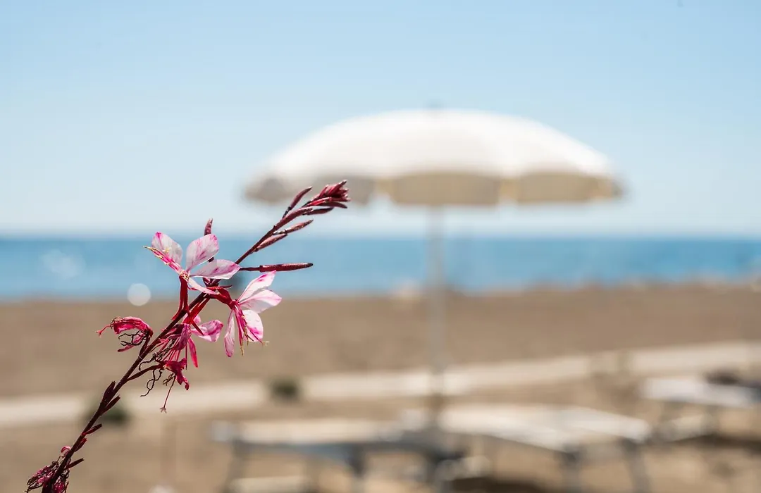 Terme Beach Resort-1